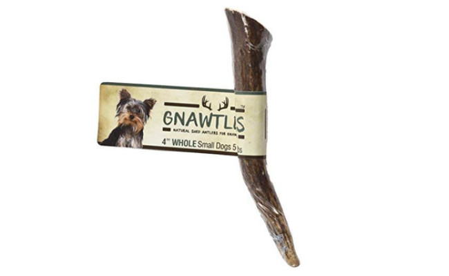 Pet Parents Gnawtlers Natural Elk Antler Chews