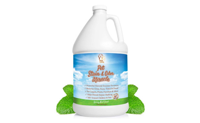 Pet Stain & Odor Miracle by Sunny & Honey