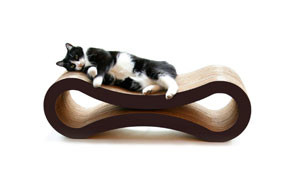 best cardboard cat scratcher