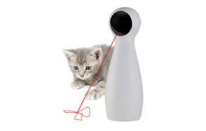 are lasers bad for cats