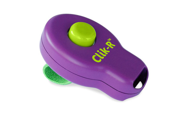 PetSafe Clik-R Trainer