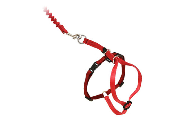 PetSafe Come with Me Kitty Harness and Bungee Leash