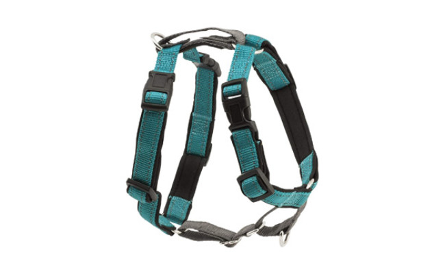 PetSafe Dog Harness for Running