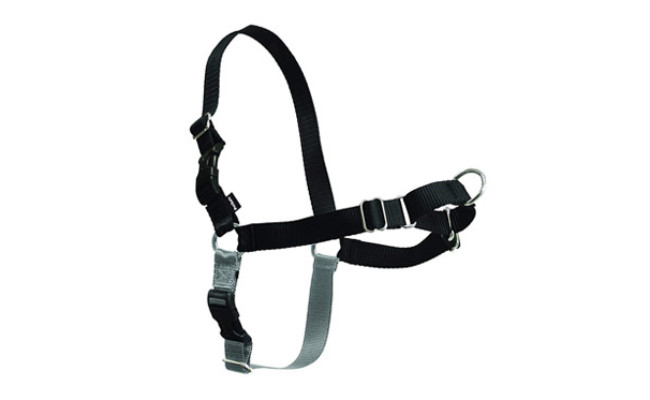 PetSafe Easy Walk Dog Harness