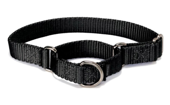 PetSafe Martingale Dog Collar