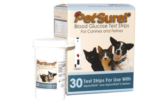 PetSure! Blood Glucose Testing for Dogs