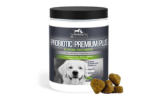 PetVitalityPRO Probiotics for Dogs