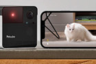 Petcube Play 2 Play Wi-Fi Pet Camera and Smartphone Interface