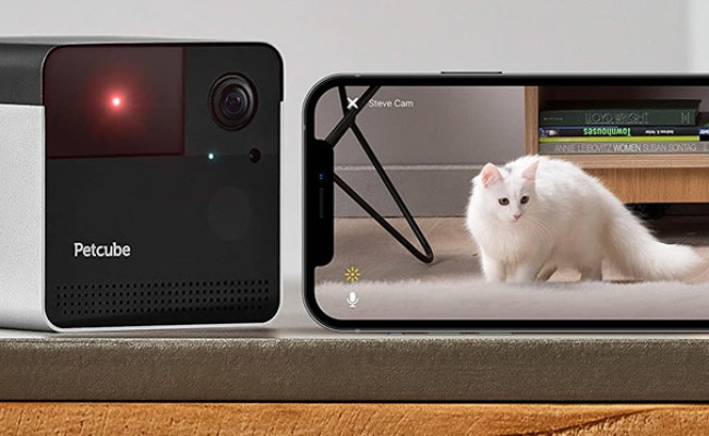 Petcube Play 2 Play Wi-Fi Pet Camera and Smartphone Interface