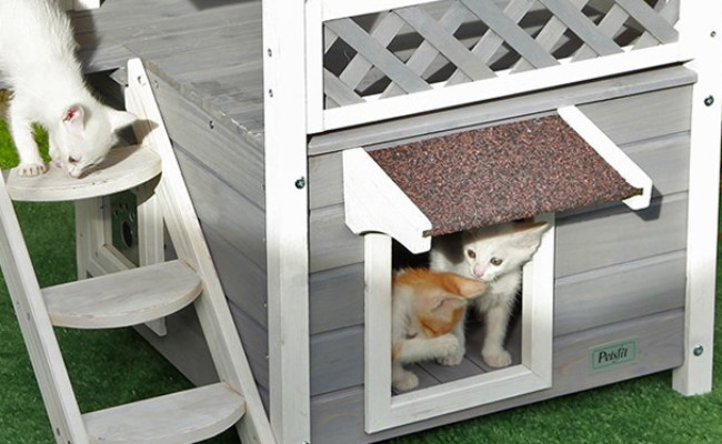 Petsfit Outdoor Cat House with Escape Door and Stairs