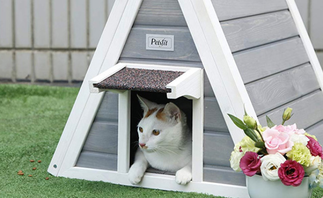 Petsfit Triangle Wooden Cat House