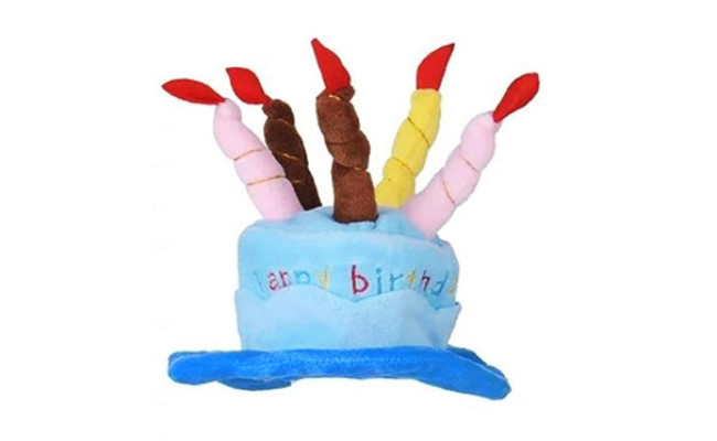 Petzilla Dog Birthday Hat