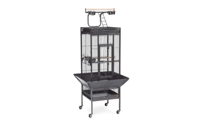 Prevue Pet Products Wrought Iron Select Bird Cage