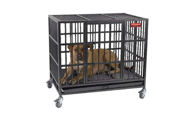 indestructible dog crate