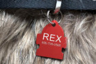 Providence Engraving Pet ID Tags