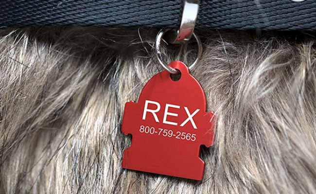 Providence Engraving Pet ID Tags
