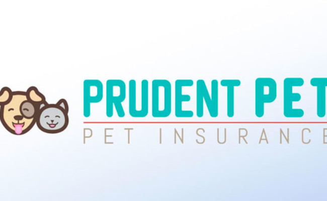 Prudent Pet