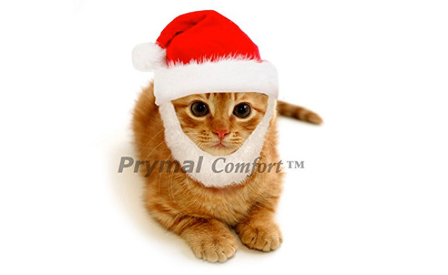 Prymal Comfort Santa Cat Costume