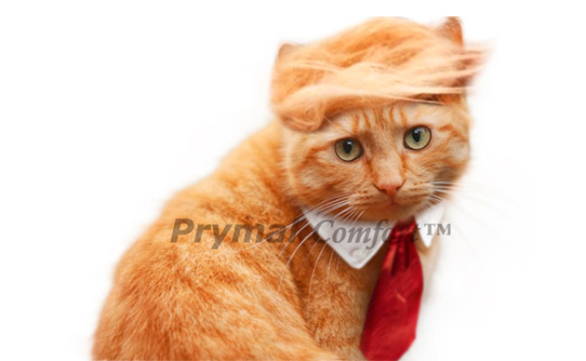 Prymal Comfort Trump Cat Costume