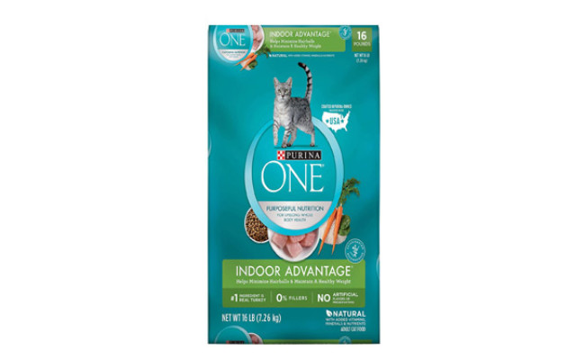 The Best Cat Food For Bengals (Review) in 2021 My Pet Needs That
