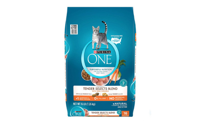 high calorie senior cat food