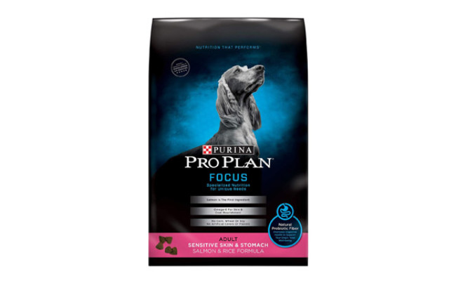 dog food for weight gain and sensitive stomach