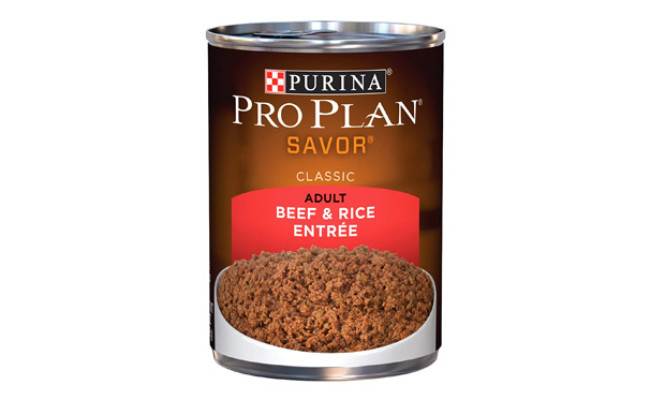 Purina Pro Plan SAVOR Adult Canned Wet Dog Food