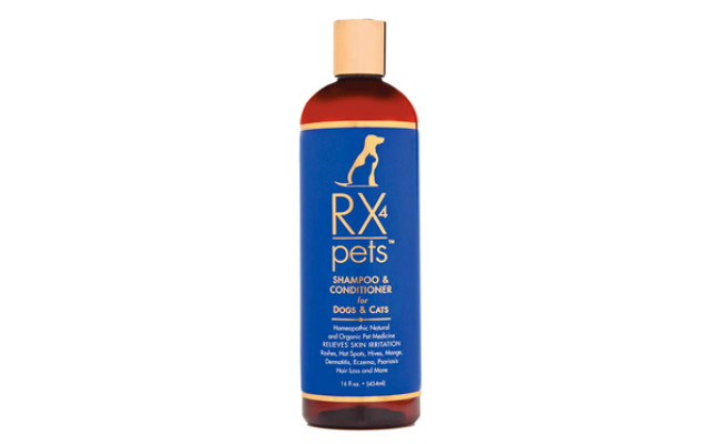 RX 4 PET Cat Flea Shampoo