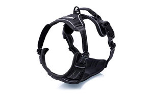 rabbitgoo harness reviews