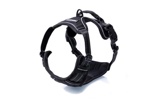 Rabbitgoo Dog Harness for Running