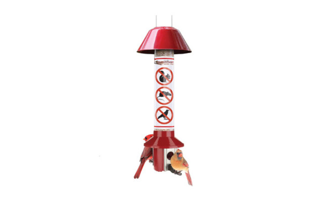 Roamwild PestOff Red Squirrel Proof Cardinal Bird Feeder