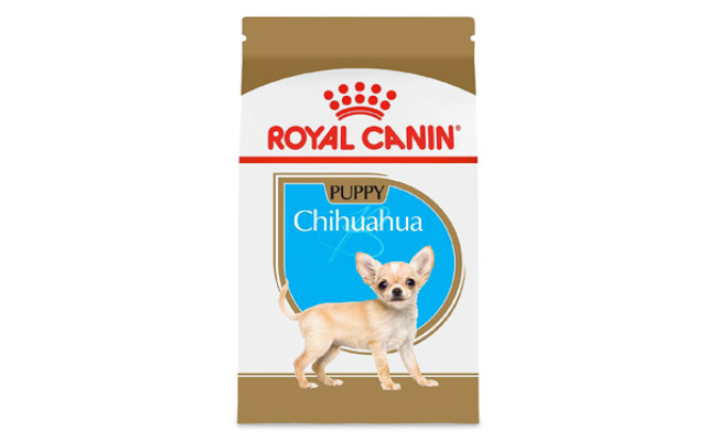 best food for chihuahua 2019