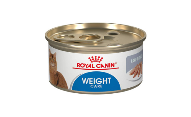 Royal Canin Feline Weight Care Loaf in Sauce Canned Adult Wet Cat Food