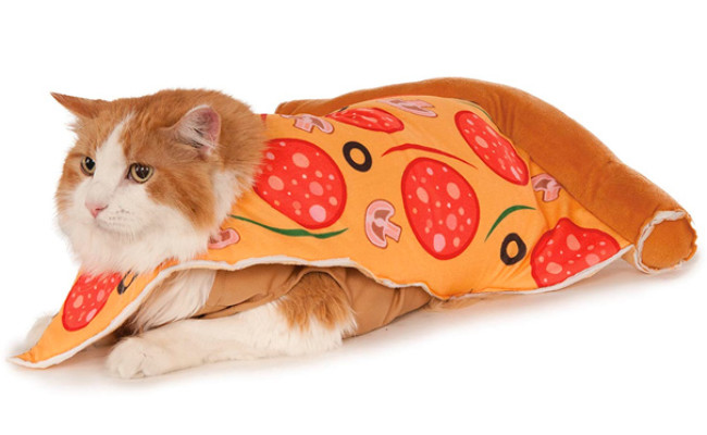 Rubies Costume Company Pizza Slice Pet Suit