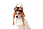 Rubies Viking Hat for Dogs
