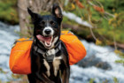 Ruffwear Dog Backpack