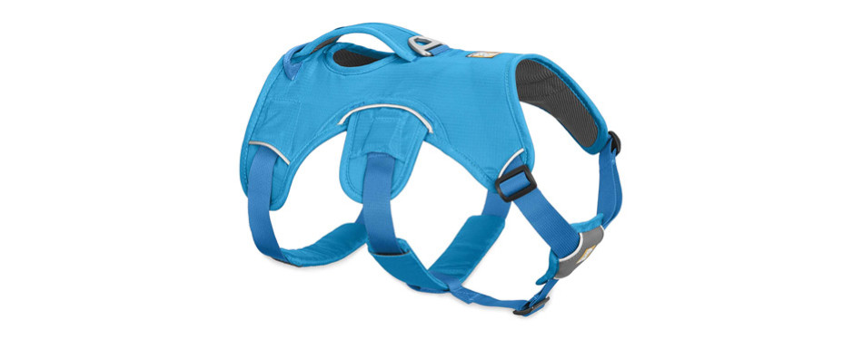 The Best Puppy Harness in 2022 | My Pet Needs That