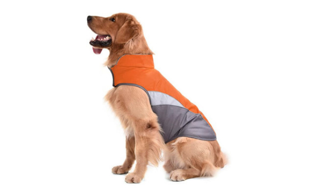 SILD Dog Jacket