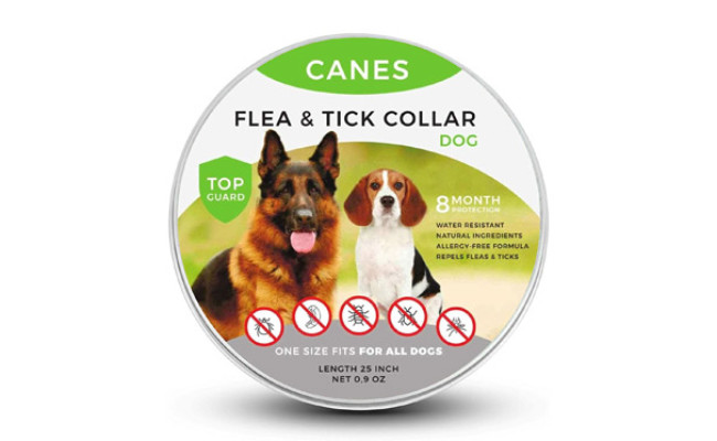 flea and tick collar