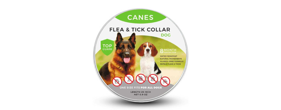 flea and tick collar