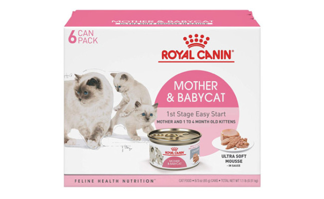 royal canin grain free cat food