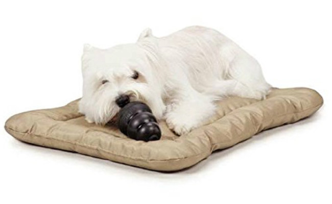 best dog bed for aggressive chewers