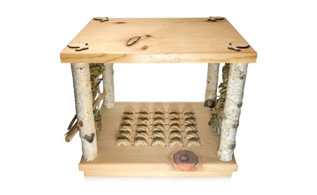 Small Pet Select Wonderland Play Table