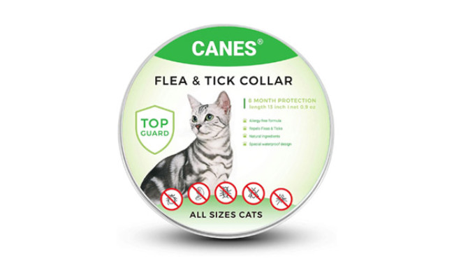 Sobaken Flea and Tick Prevention for Cats