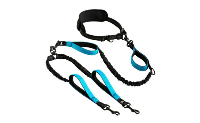 SparklyPets Hands Free Double Dog Leash