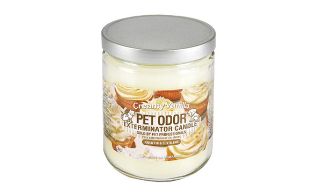 Specialty Pet Products Odor Exterminator Candle