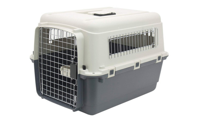 SportPet Designs Pet Kennel