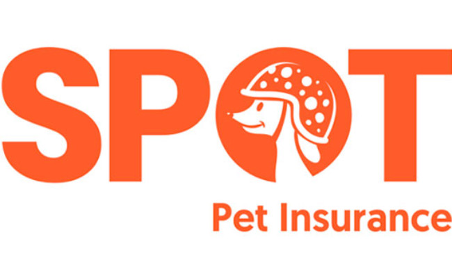 Spot Pet Insurance