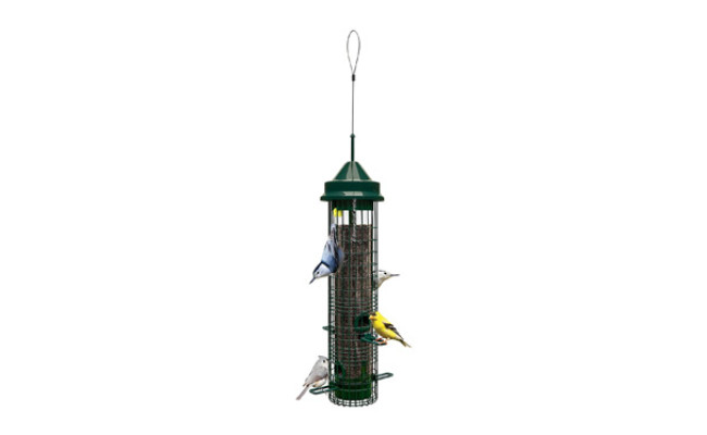 Squirrel Buster Mini Squirrel-proof Bird Feeder