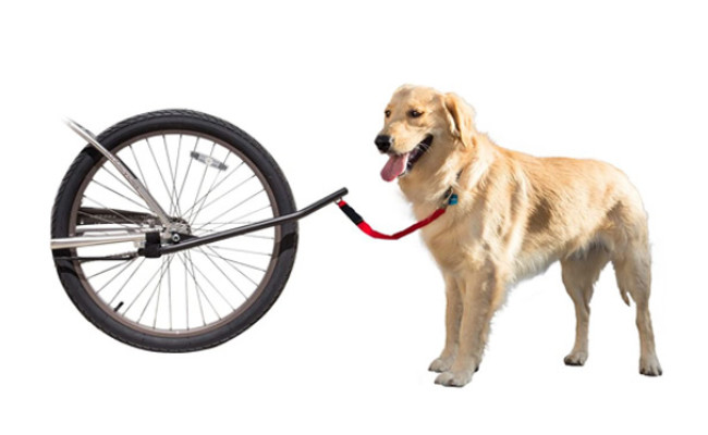 Sunlite Bicycle Dog Leash